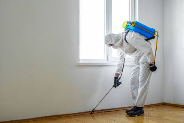 Best Pest Control for Multi-Family Homes  in Forest Ranch, CA